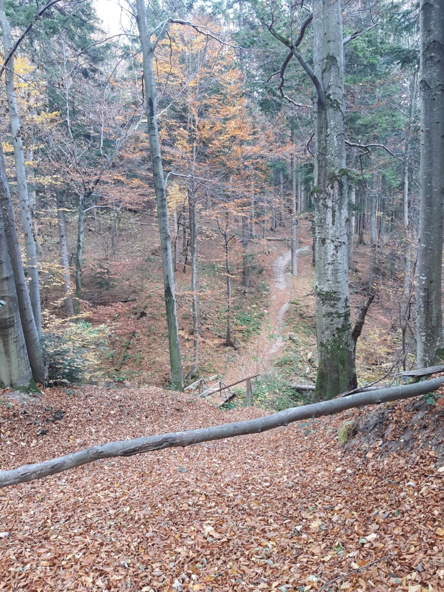 Chata Pod Wyciagiem Wańkowa Esterno foto
